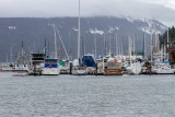 Carl Erland<br>Cowichan Bay<br>January 2022<br>Cold & Wet, Mid Winter
