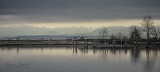 Racine Erland<br>February 2022<br>Early Morning at Salmon Point