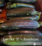 <br>Lois DeEll<br>2022 Summer Challenge<br>Letter Z - Zucchini