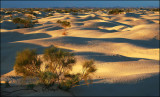 <br>Bob Skelton<br>October 2022<br> Evening Favourites: Landscape<br> Dawn in the Desert - 2nd (tied).