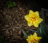 GC3_0369.JPG