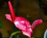 B016771.jpg