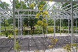 MO_IMGP5942-Jardin Mtis.jpg