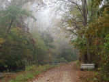 A foggy morning