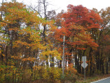 Just outside of Catoctin Mountain Park