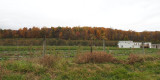 Countryside outside Catoctin Mountain Park