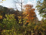 Seneca Park