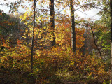 Seneca Park