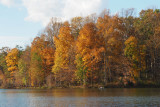 Clopper Lake