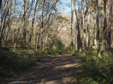 Dirt road leading to parking lot for canal