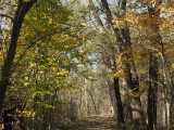 At the trailing end of Fall