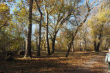 The camp site by the trail