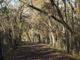 At the end of Fall near Williamsport