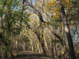 At the end of Fall near Williamsport