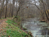 After the leaves are gone