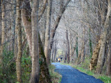 Paving work on the trail