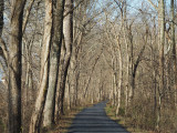 Morning light on the newly repaved trail