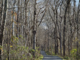 In the morning on the trail