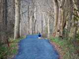 Runner