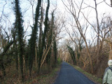 Early in the walk