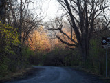 As the sun rises