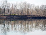 Reflections on the river at Edwards Ferry