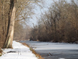 The frozen canal