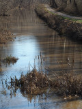 The canal bed