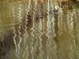 Reflections