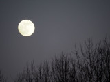 The night before the full moon