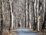 Runner on the trail