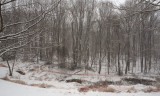 Snow storm