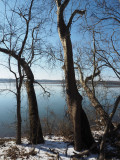 C&O Canal and nearby parks from 2021
