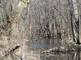 The old canal bed with water