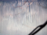 Over the water