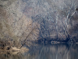 The river near the end of winter