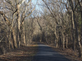 Shadows on the trail in the early morn