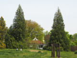 Children frolicking in the park