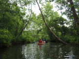 Exploring the creek