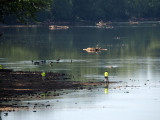 At the meeting place of the Potomac and Monocacy rivers