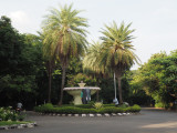Gajendra Circle
