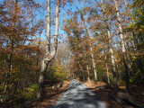 The road through Sugarloaf Mountain park