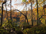 Clopper Lake - Seneca State Park