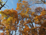 Autumn colors besides Clopper Lake
