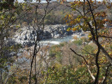View of Potomac from the Overlook trail