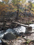 A bridge across the stream