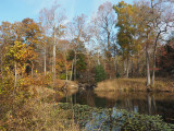 Autumn along the Billy Goat Trail