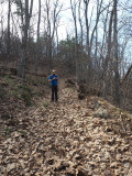 Leaves cover the Sams Ridge Trail