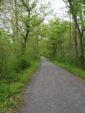 New trail surface