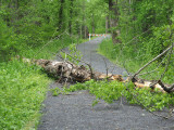 The blocked trail